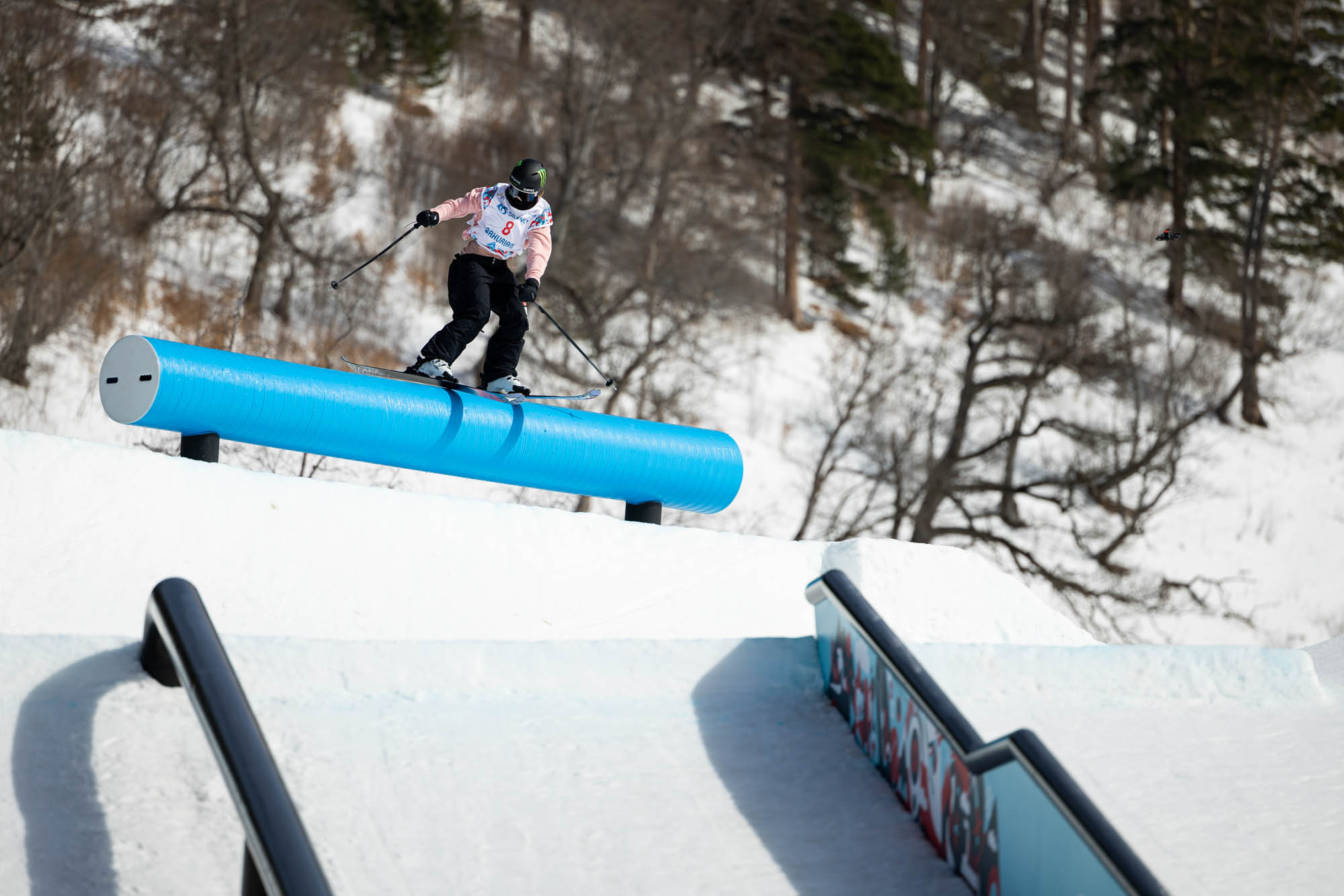 FIS Freestyle Ski, Snowboard and Freeski World Championships - Bakuriani GEO - Freeski Slopestyle © Miha Matavz/FIS